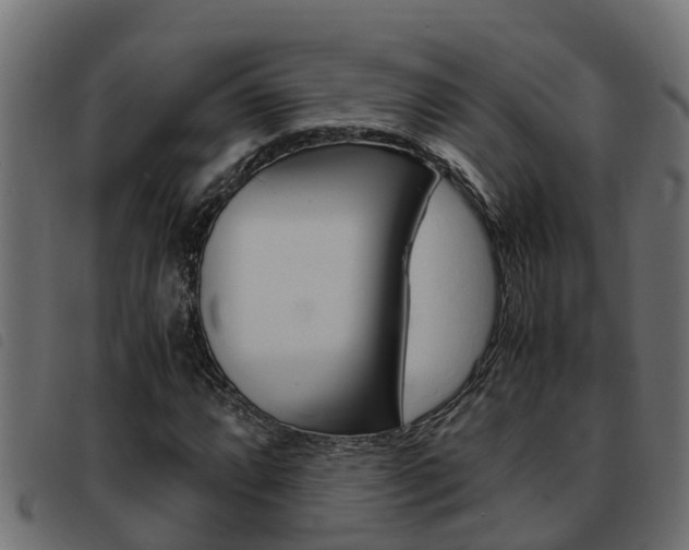 X0000093431064200710120913