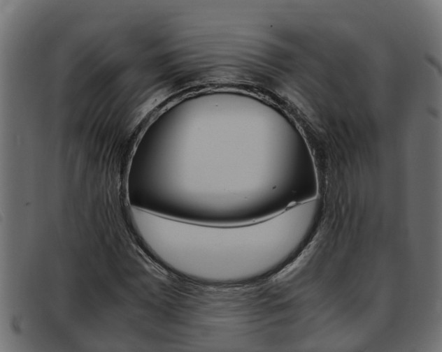 X0000093431065200710120913