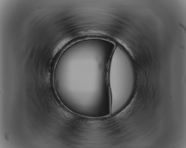 X0000093431066200710120913