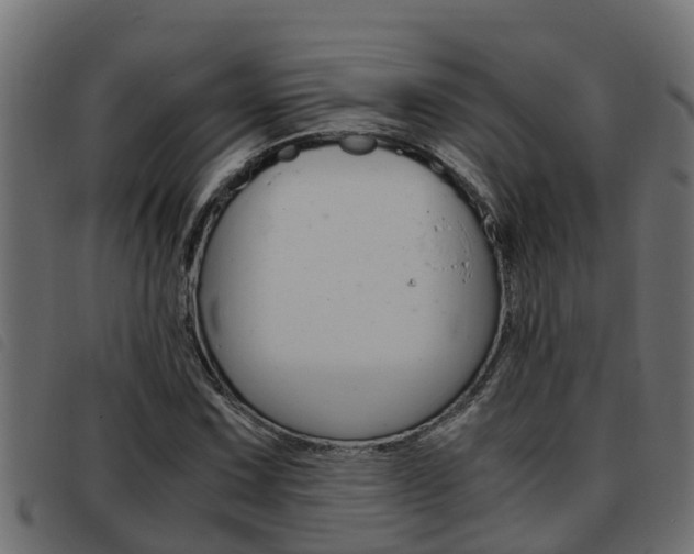 X0000093431067200710120913