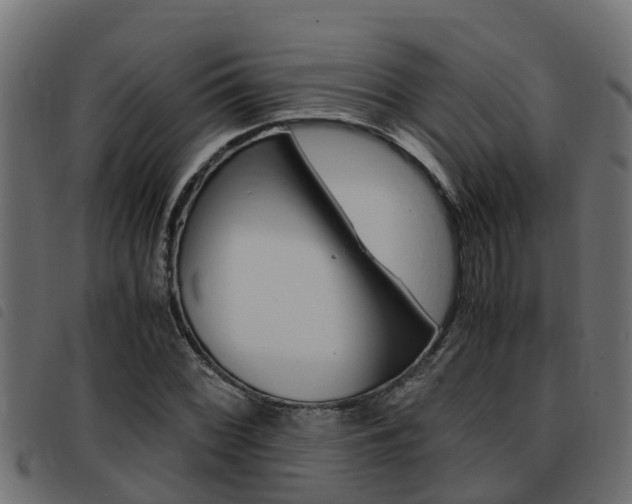 X0000093431068200710120913