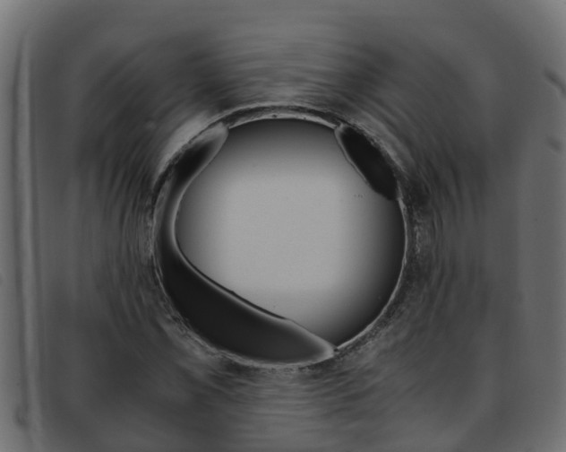 X0000093431069200710120913
