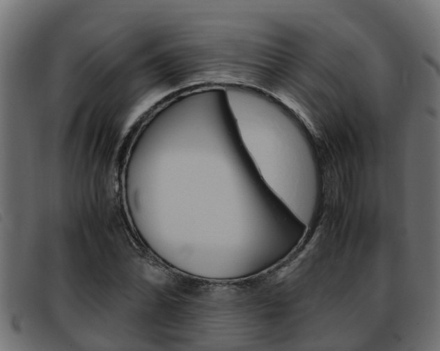 X0000093431070200710120913