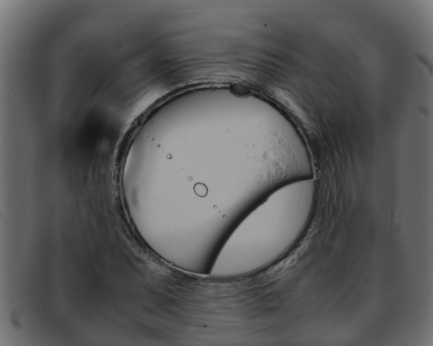 X0000093431071200710120913