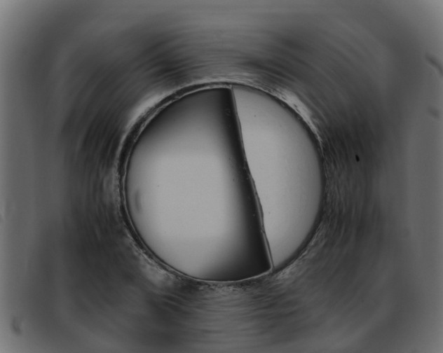 X0000093431072200710120913
