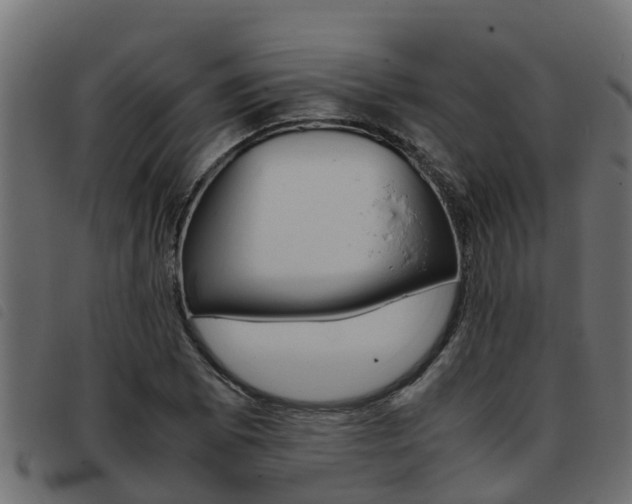 X0000093431073200710120913