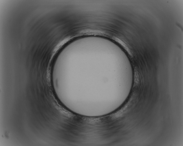 X0000093431074200710120913