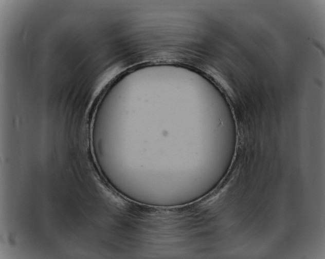 X0000093431075200710120913