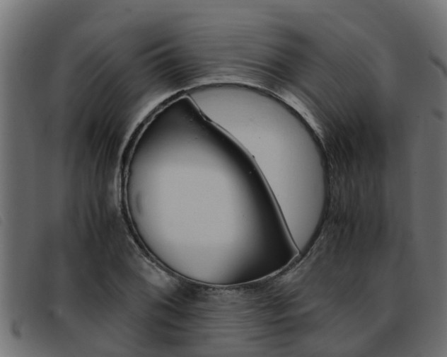 X0000093431076200710120913