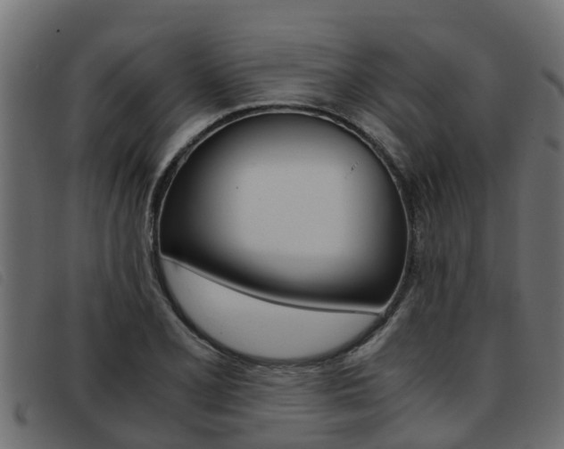 X0000093431077200710120913