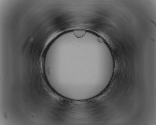 X0000093431078200710120913