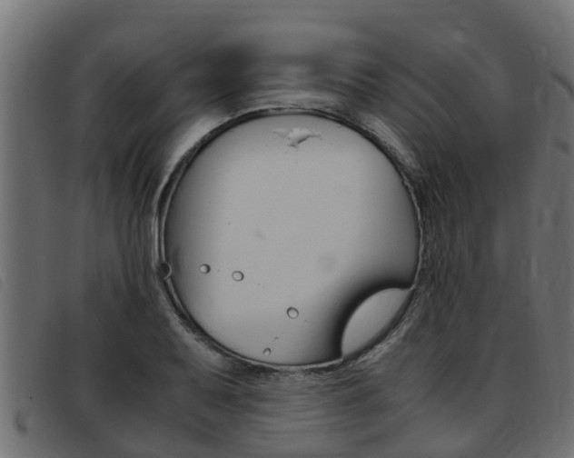 X0000093431079200710120913