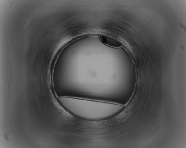 X0000093431080200710120912