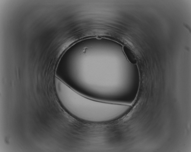 X0000093431081200710120912