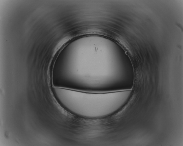 X0000093431082200710120912