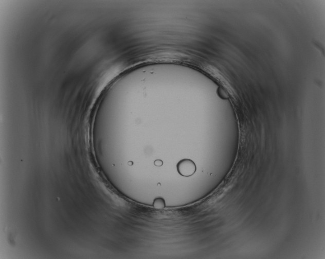 X0000093431083200710120912