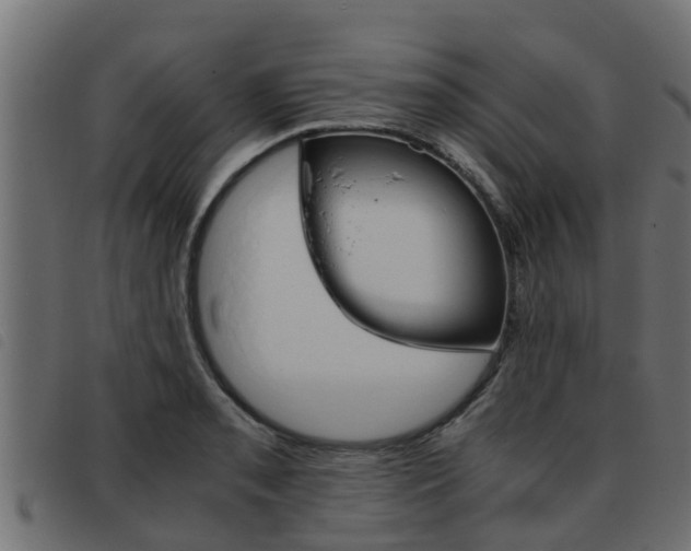 X0000093431085200710120912