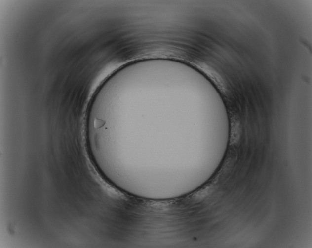 X0000093431086200710120912