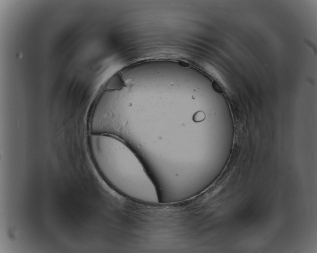 X0000093431087200710120912