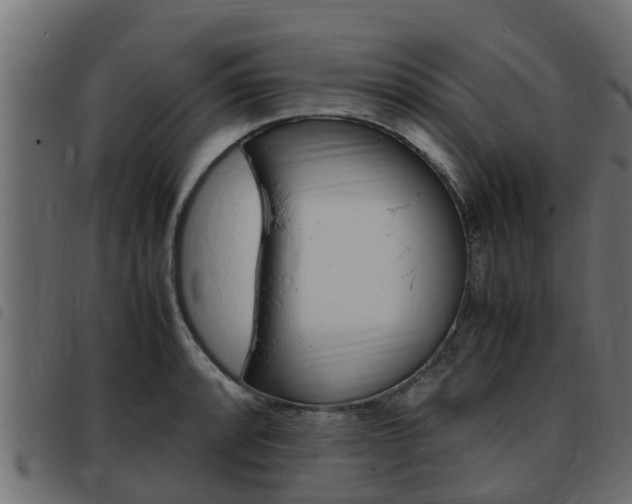 X0000093431088200710120912