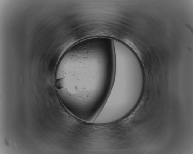 X0000093431089200710120912