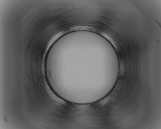 X0000093431090200710120912