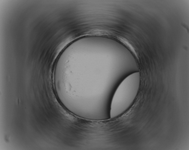 X0000093431091200710120912