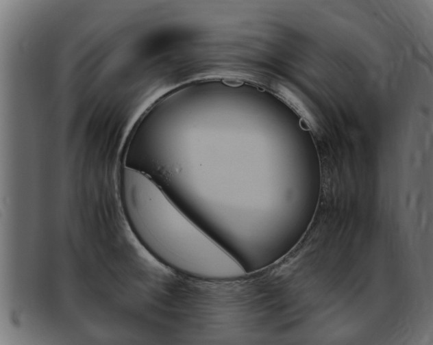 X0000093431092200710120912
