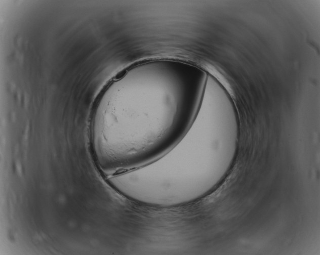 X0000093431093200710120912