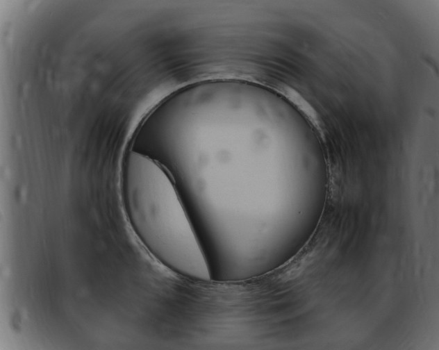 X0000093431096200710120912