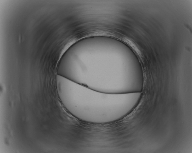 X0000093431097200710120912