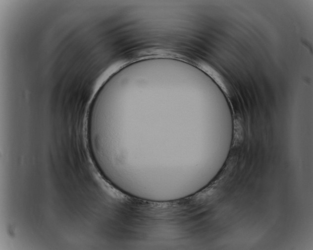 X0000093431098200710120912