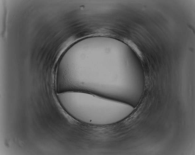 X0000093431099200710120912