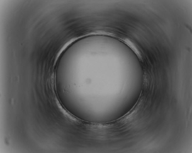 X0000093431100200710120912