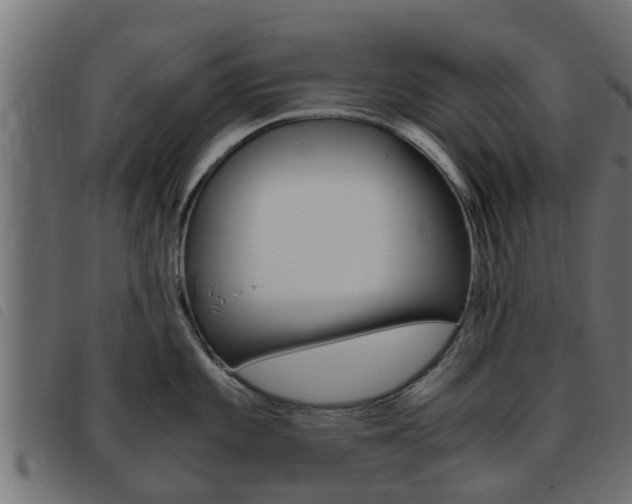 X0000093431101200710120912