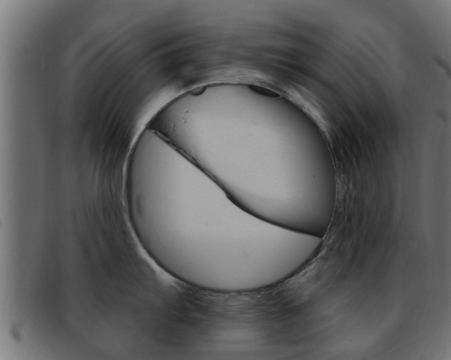 X0000093431103200710120912