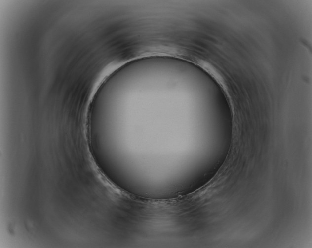 X0000093431104200710120912
