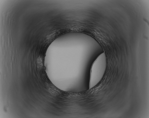 X0000093431106200710120912