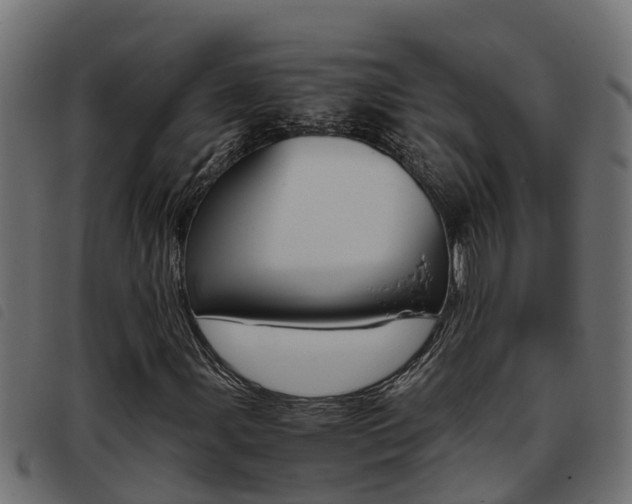 X0000093431107200710120912