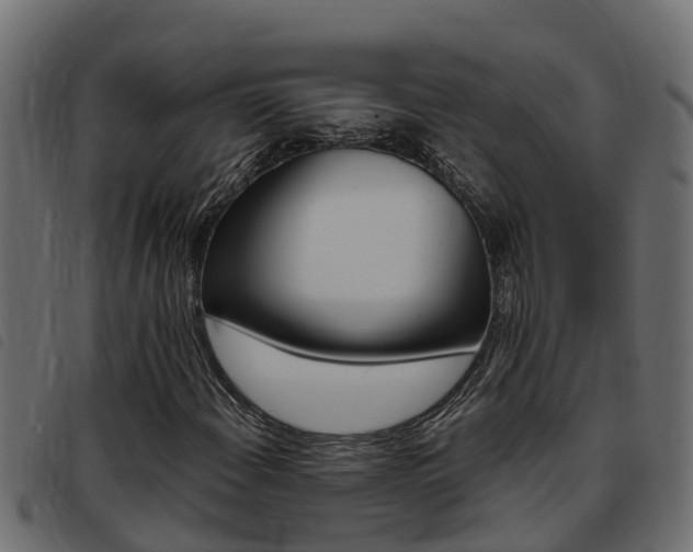 X0000093431108200710120912