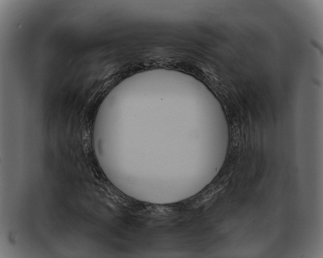X0000093431109200710120912
