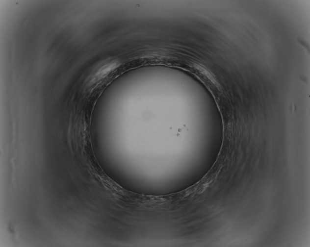 X0000093431111200710120912