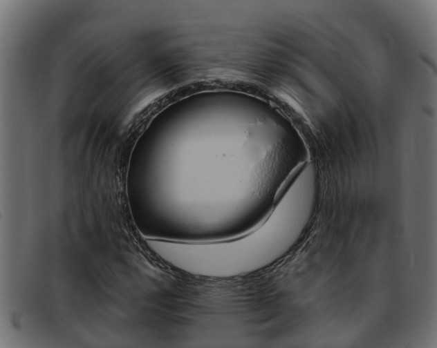 X0000093431112200710120912