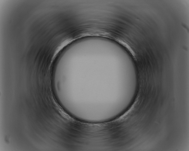 X0000093431114200710120912