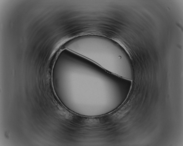 X0000093431115200710120912