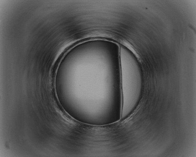 X0000093431116200710120912