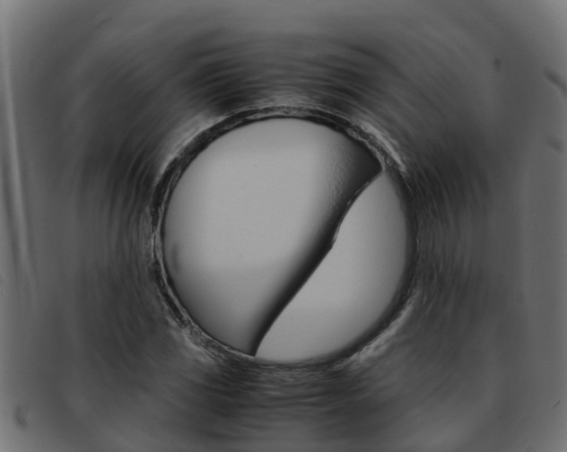 X0000093431117200710120912