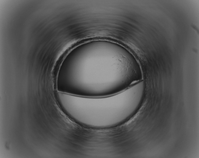 X0000093431118200710120912