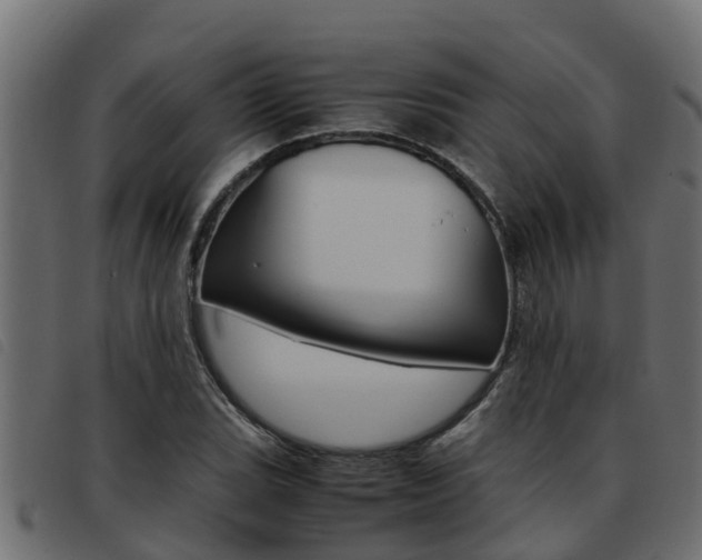 X0000093431119200710120912