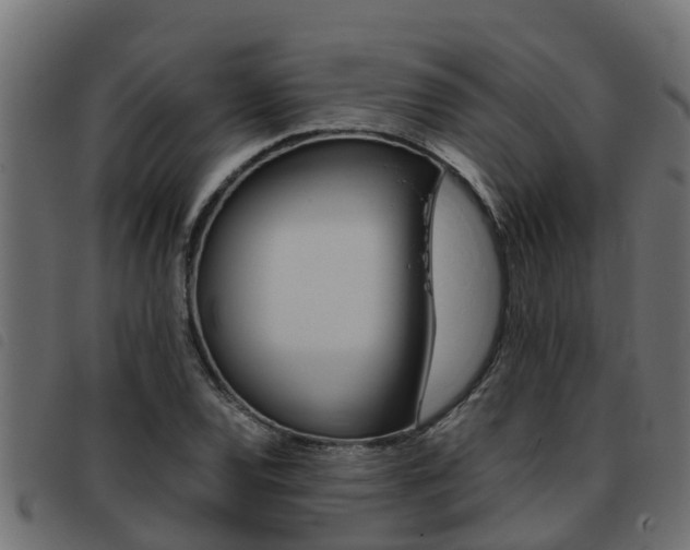X0000093431120200710120912